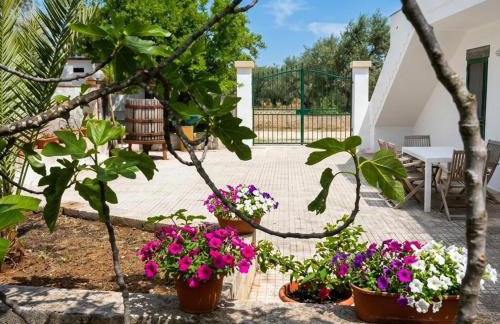 Agriturismo Tenuta La Siesta - Foto 111