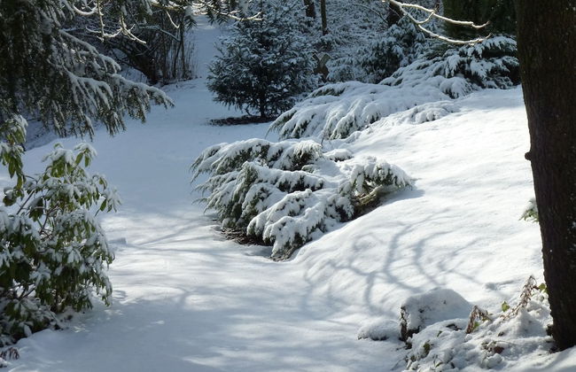 Cottage Near Durbuy Forest - Photo 22