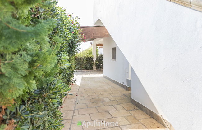 Villa Olivares - Foto 29