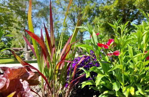 Domaine de l'Ermitage - Foto 64