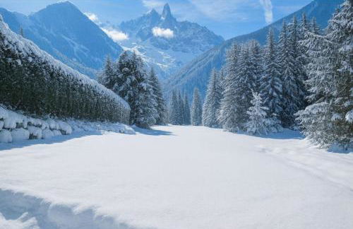 Semi Detached Chalet For 8 With Balcony & Garden - Foto 1