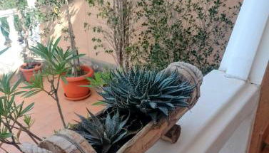 Sea-view hill house - Foto 3