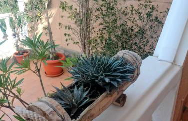 Sea-view hill house - Photo 3