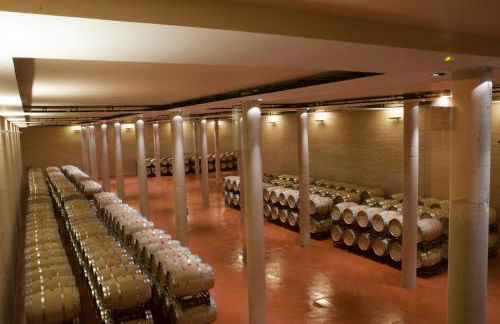 Hotel de Bodegas Hacienda Albae - Photo 58