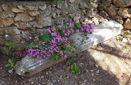 Apartment Karmen - Foto 28