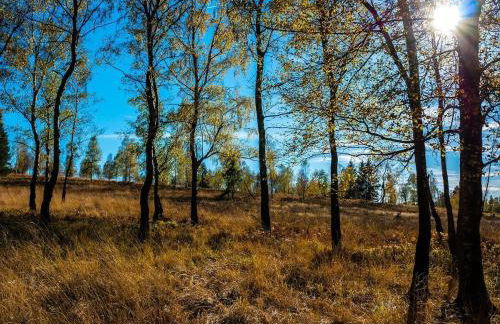 Ferienhaus Am alten Fachwerk - Foto 38