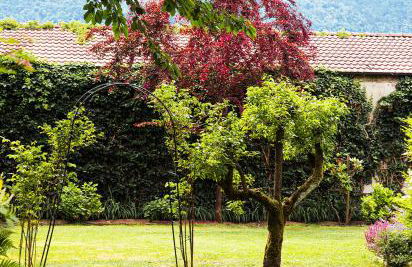 La Casa del Ciliegio - Foto 13