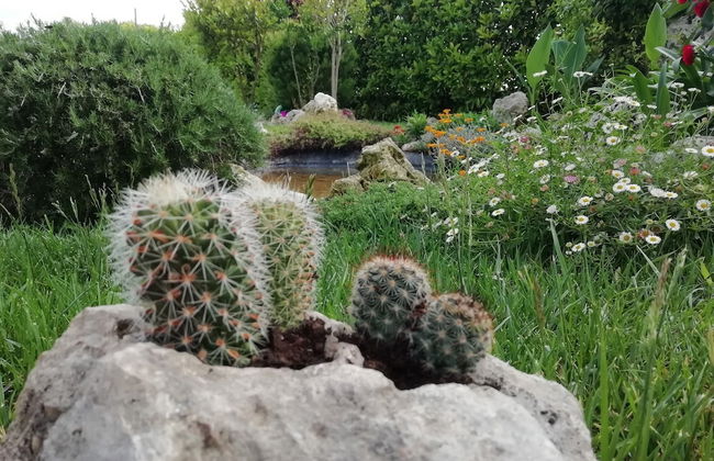 Villetta Dote - Photo 49