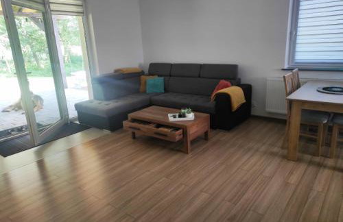 Bolek Lolek Domki Apartamenty - Foto 44