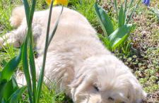 Agroturystyka Magnolia - Foto 17