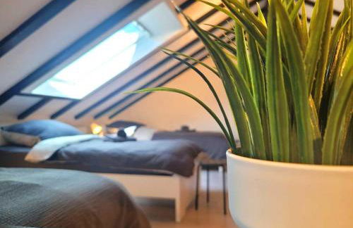 Cozy & Modern 4 Room Flat near Hanau - Foto 13