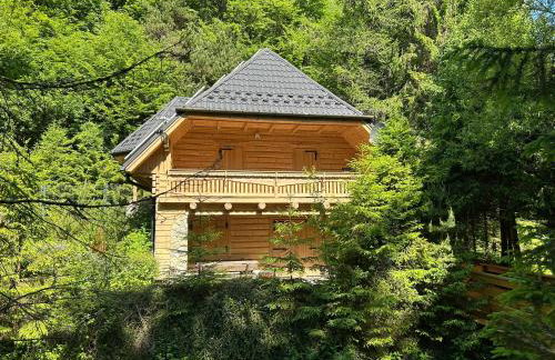 Forest House- dom nad górskim potokiem - Foto 1