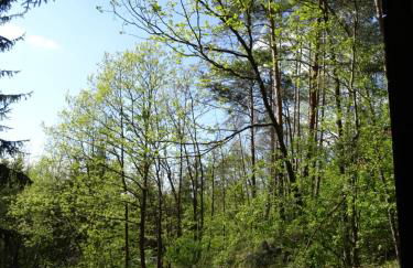 Waldhaus Agnes - Foto 20