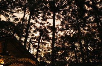 Pousada Alpes da Araucárias - Foto 11