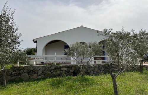 La casa nell'oliveto - Foto 1