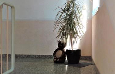 Ferienwohnung Jungbär - Die Wohlfühl-Adresse im Stangenwald - Foto 14