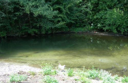 Appartement les rives de l’Ariège - Foto 32