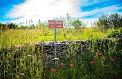 Villa San Polo Max near Pula up to 8 people with heated pool & pet friendly - Foto 28