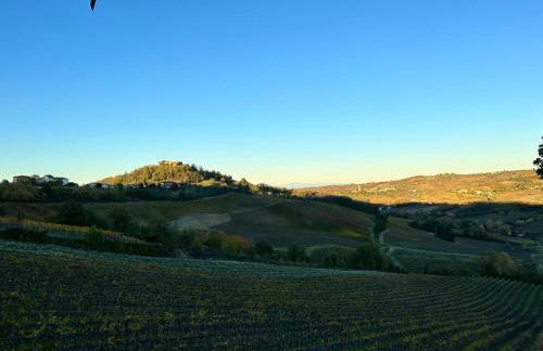 Agriturismo Poggiacolle - Photo 14