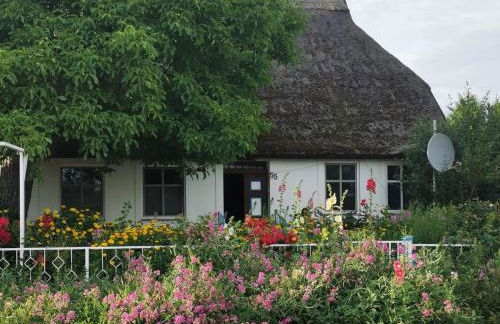 Apartment Traumhafte Ferienwohnung im Reetferienhaus by Interhome - Foto 30