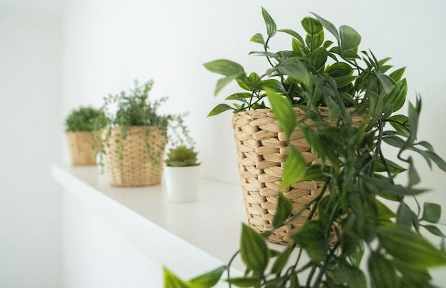 Trullo Pinto - Foto 23