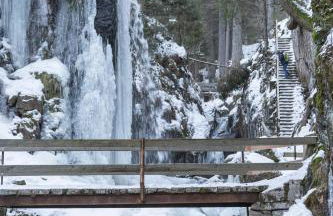 Schwarzwaldglück - Foto 32