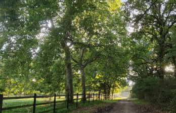 Gîte confort Les Grandes Maisons et Espace Bien Être - Photo 35
