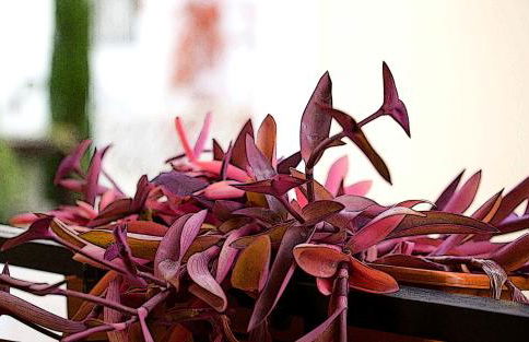 Bonita casa en Granada+PARKING EN EL CENTRO+WIFI - Foto 31