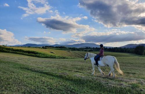 Studio apartments Kaya - Foto 57