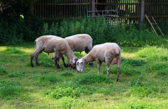 Lovely Apartment in Himmelkron - Foto 18