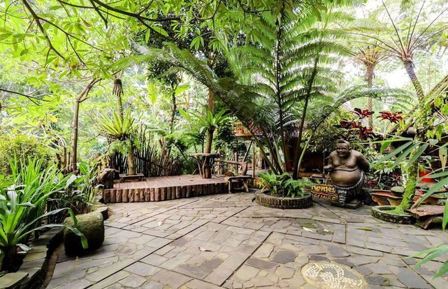 Rimbono Homestay - Foto 19