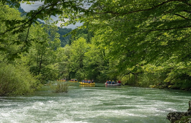 Vineyard Homestead Vrtin - Foto 40