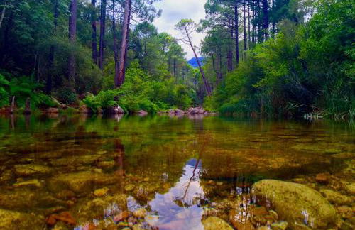 Grande Villa, Corse du Sud, Domaine privé de Cala Rossa - Foto 28