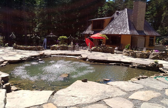 Stone Hearst - Foto 35