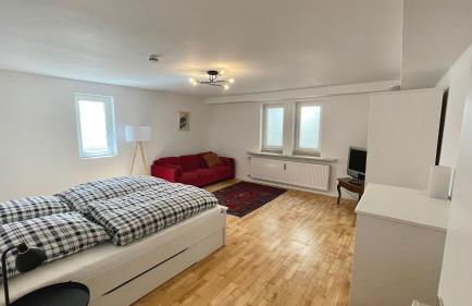 Large holiday apartment with sauna, terrace, garden and open fireplace - Foto 29