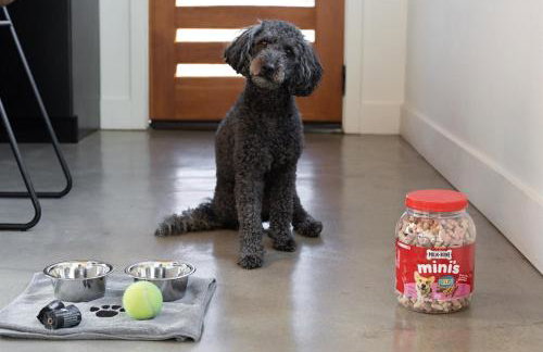 Glass House - Hot Tub - Voted AVL's #1 Luxe Stay - Foto 38