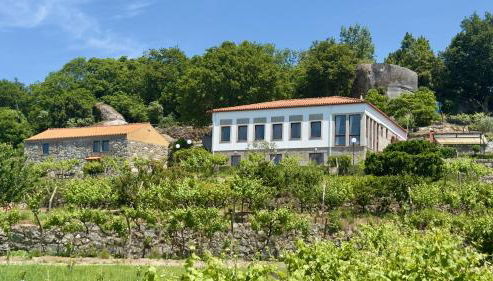 Quinta de CasalMato - Foto 2