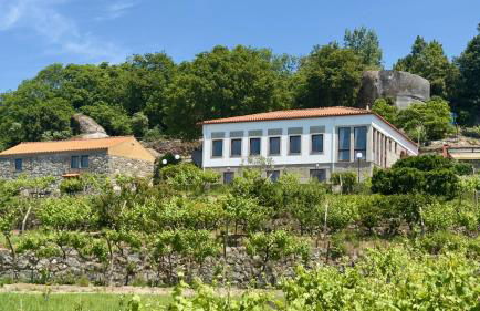 Quinta de CasalMato - Foto 2