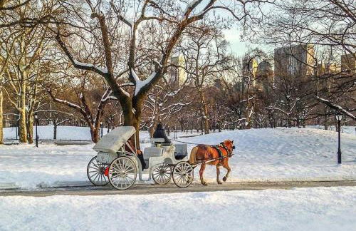 Suite 45 - East Harlem, Manhattan by Monthier - Foto 16