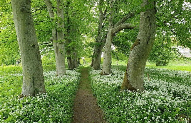 6 Person Holiday Home in Hojslev-by Traum - Foto 30