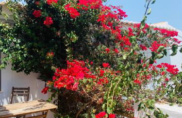 Dona Maria 66 - Foto 27