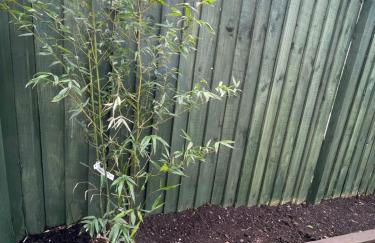 Cheerful 2 Bedroom Townhouse with Cinema Loft - Foto 47