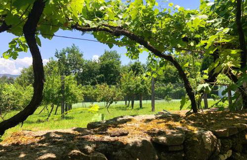 QUINTA DONA MANUELA - Foto 28