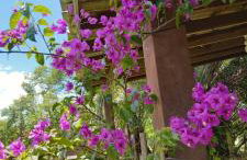 Sobrado com vista profissional do mar - Foto 23