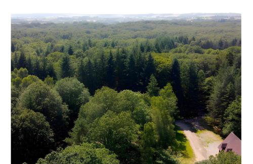 Logis Des 2 Chênes - Foto 19