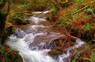 Casa o Furco - Foto 41