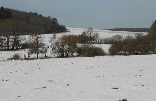 Regional House With Exposed Timber Frame Elements Full of Authenticity and Charm in a Green Area - Photo 35