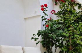 Corte Dioniso Eco Apartments & Suites - Foto 36