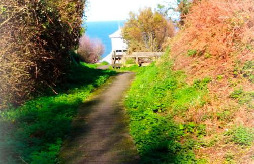 AMORES DE ASTURIAS - Foto 34