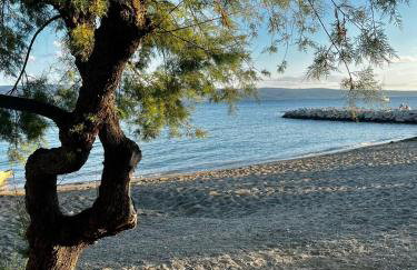 Deluxe apartman Antonio - Foto 58